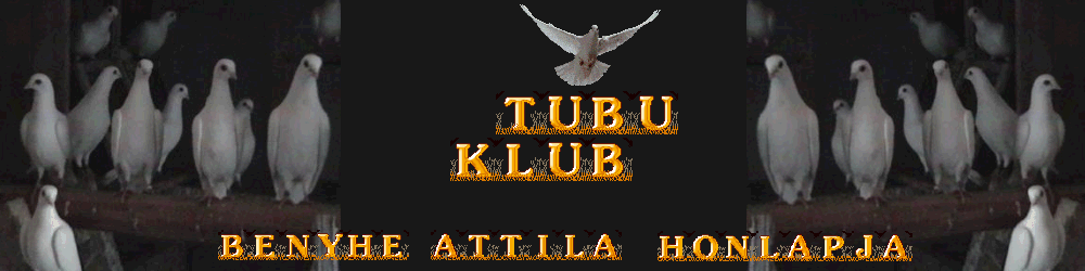   T U B U  K L U B  - Tauben Club- BENYHE ATTILA lapja